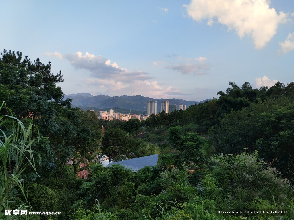 山林间远眺城市风光
