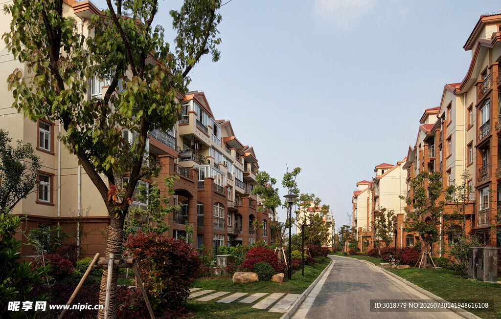宁静的小区住宅街道景观