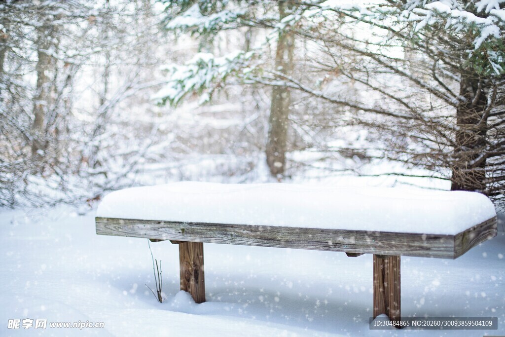 雪覆长凳