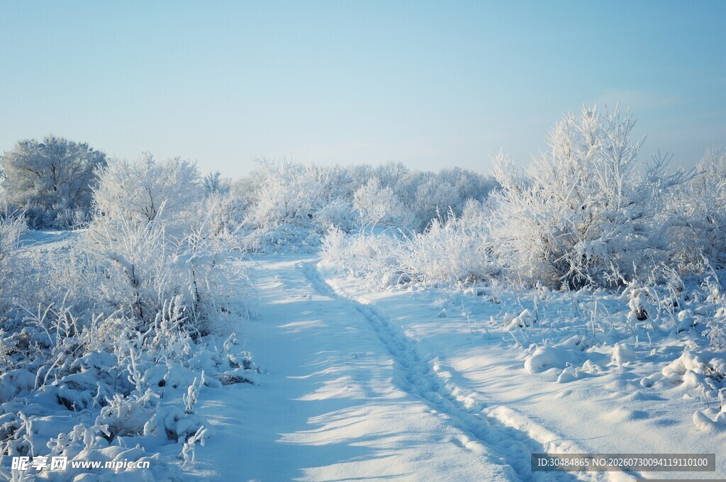 冬日雪覆小路美景
