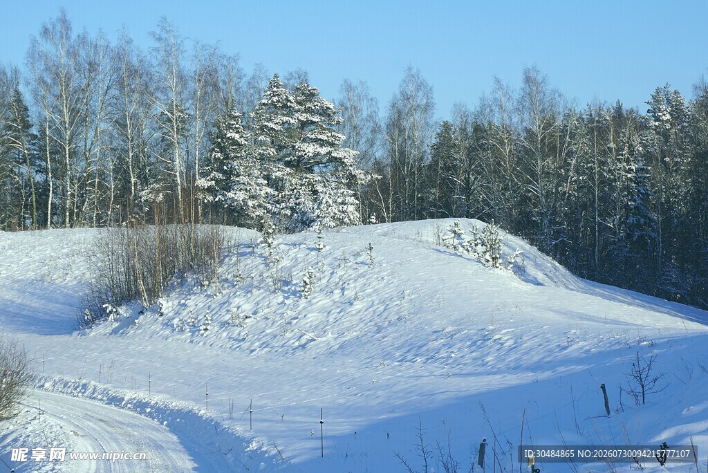 冬日雪景中的树木与雪丘
