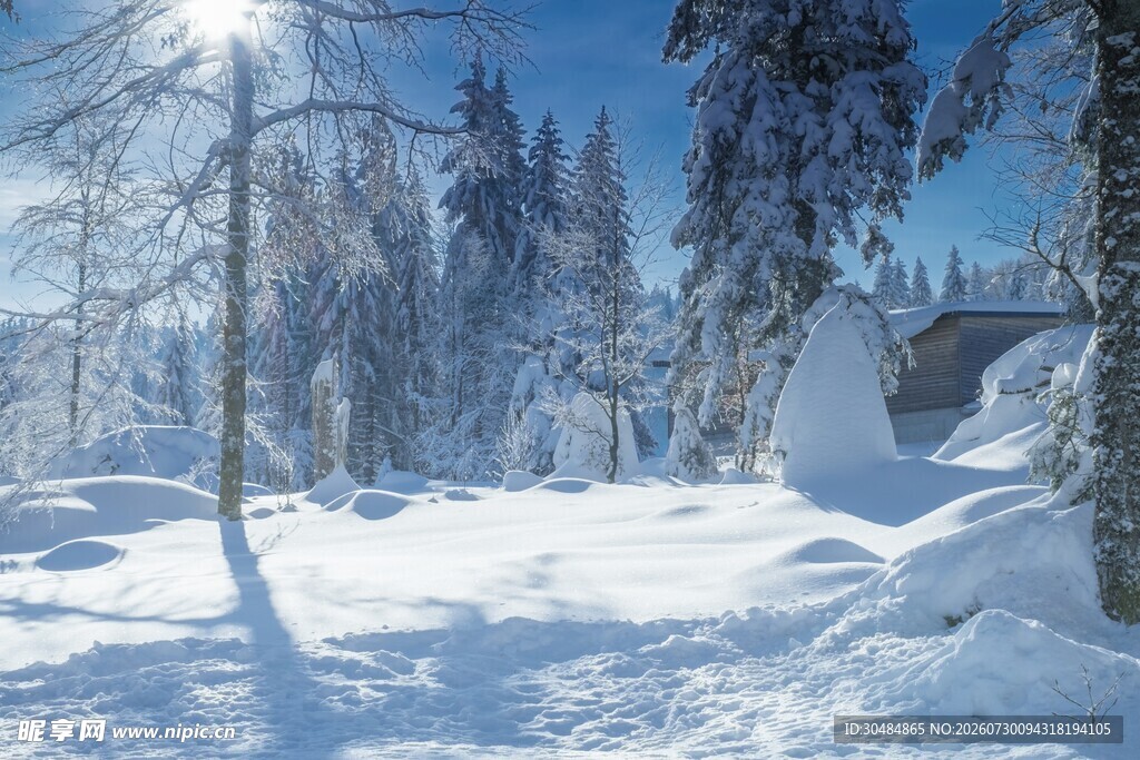 冬日雪景中的静谧森林小屋
