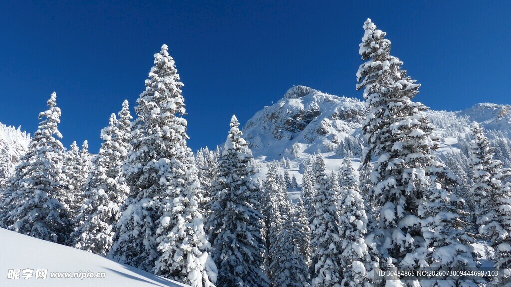 雪覆山林