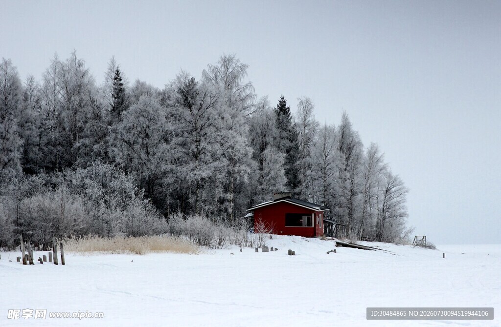 冬日雪林旁的红色小屋
