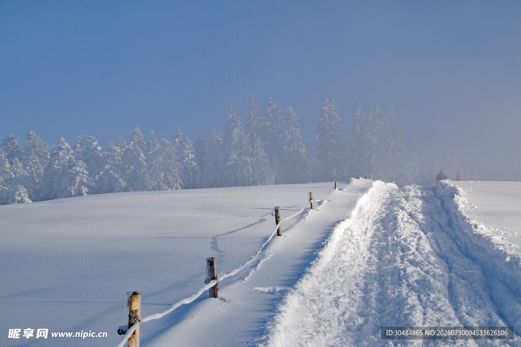冬日雪路静谧雪景