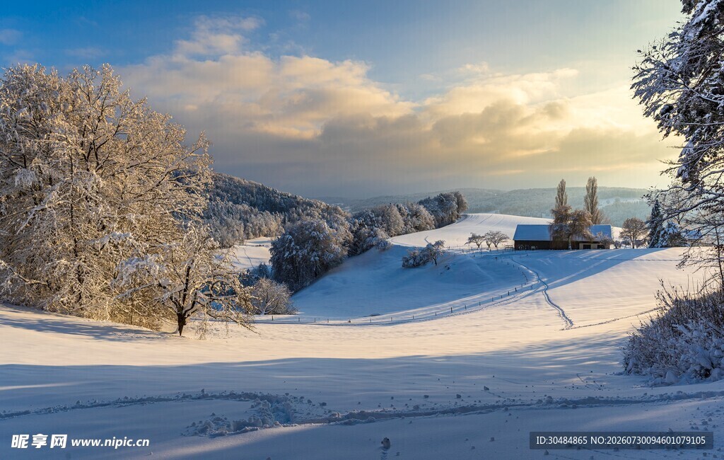 冬日雪景