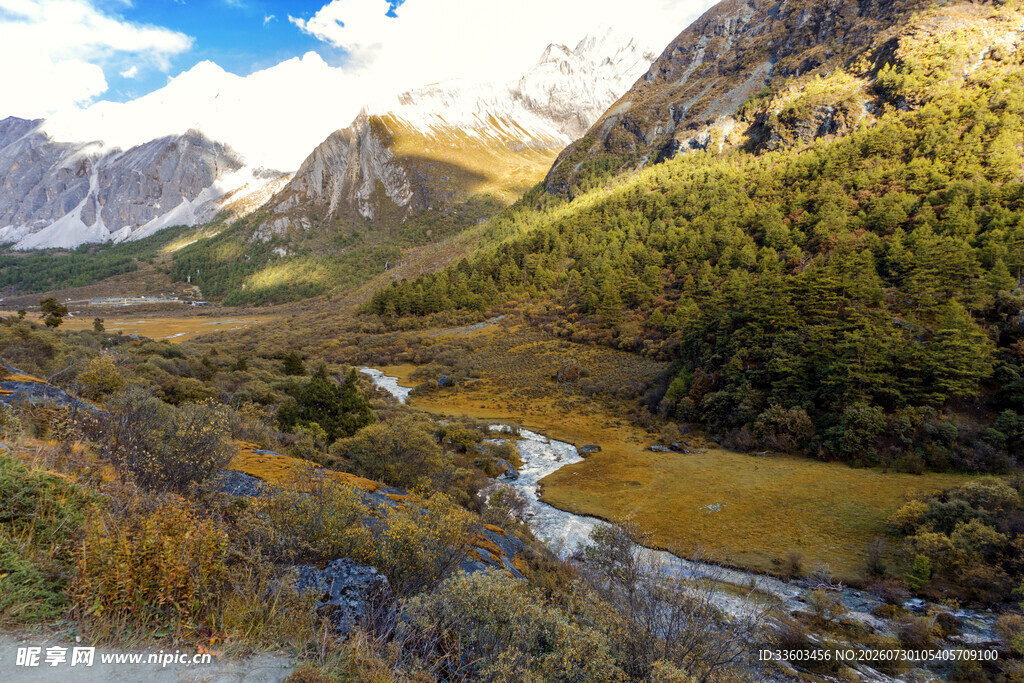 山间秋色溪流美景