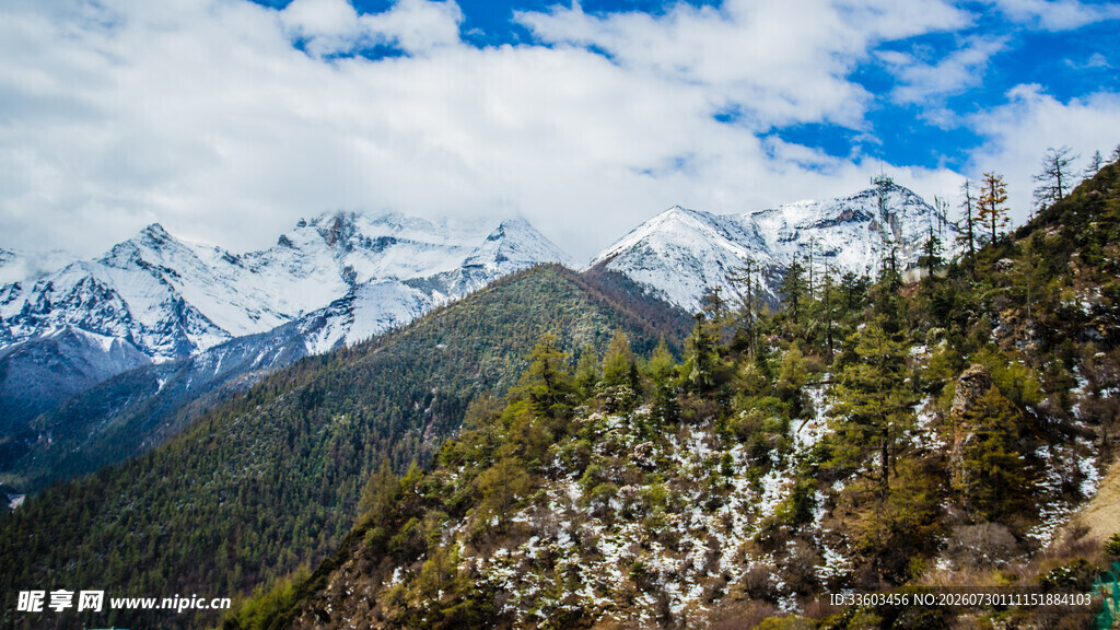 雪山下的葱郁山林景观