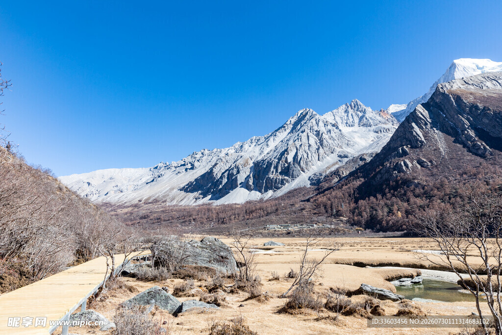雪山下的开阔河谷风光