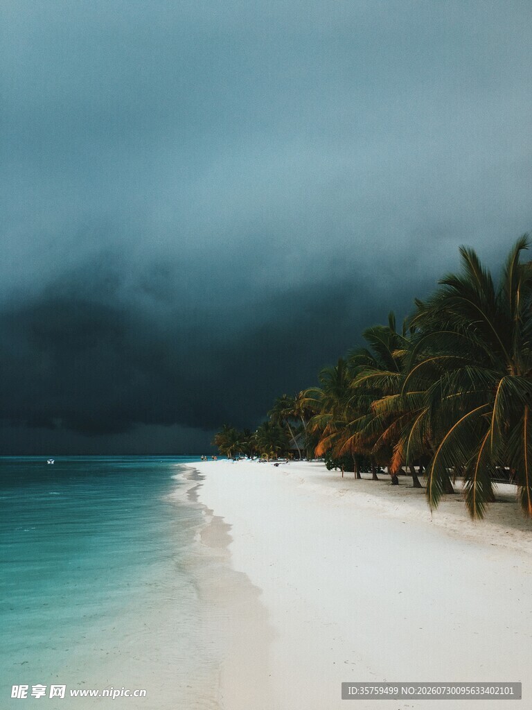 梦幻海滩椰林与碧海相伴