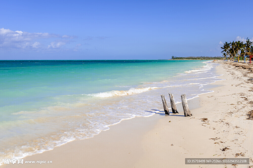 美丽海滨沙滩风景画面