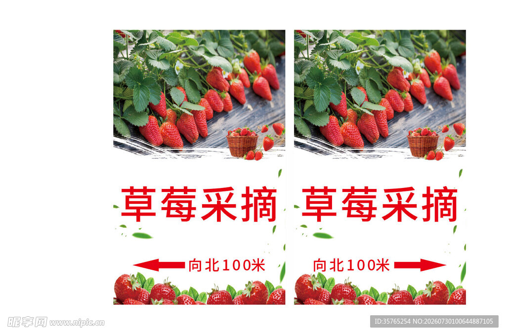 草莓采摘场景展示海报路牌