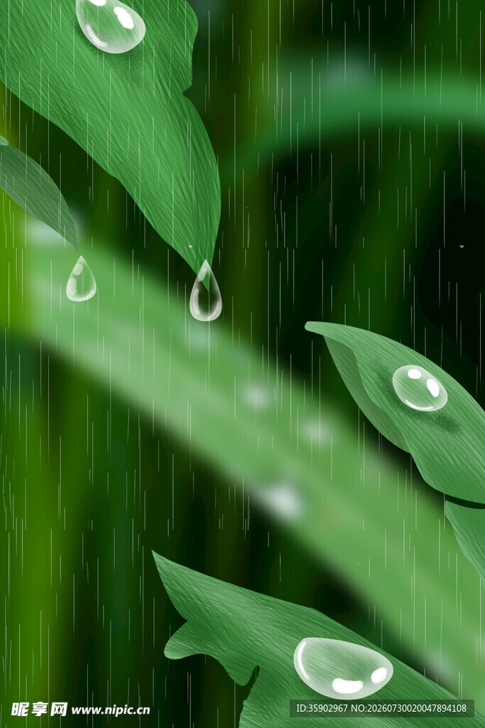 绿叶上的晶莹雨滴