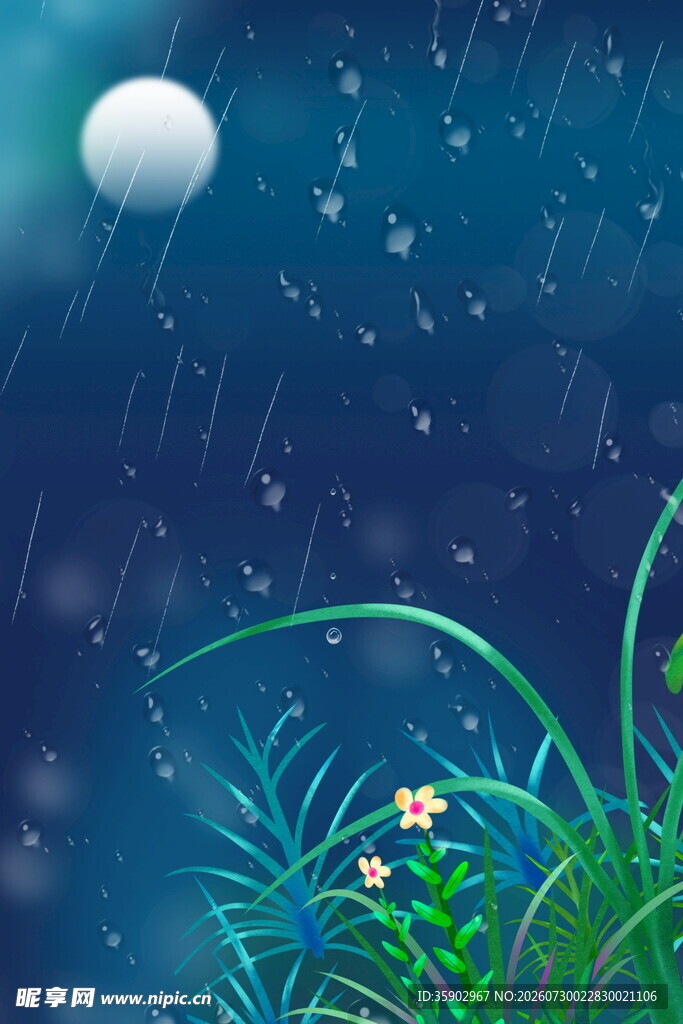 月夜雨景下的花草世界