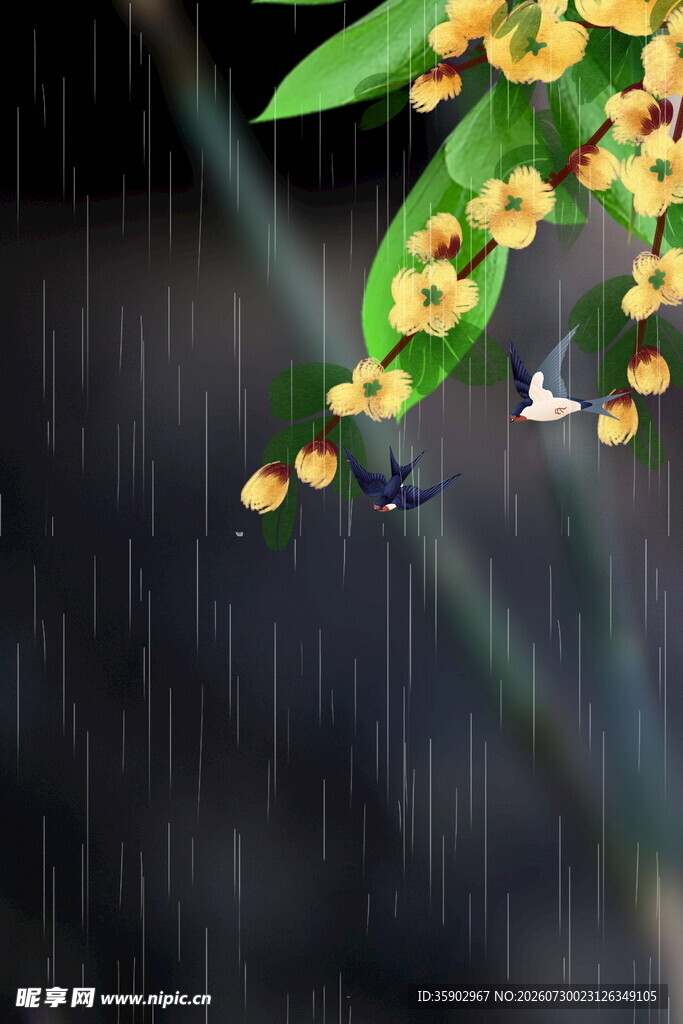 雨中桂花飘落景致