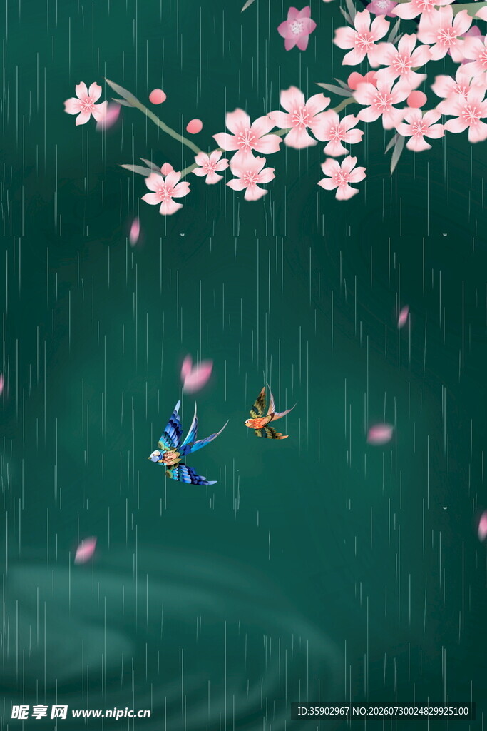 雨中樱花与飞舞昆虫