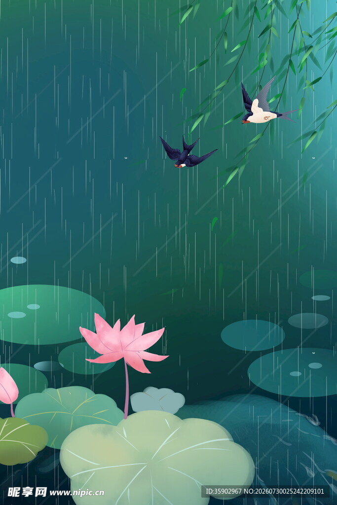 雨中荷塘蝶舞