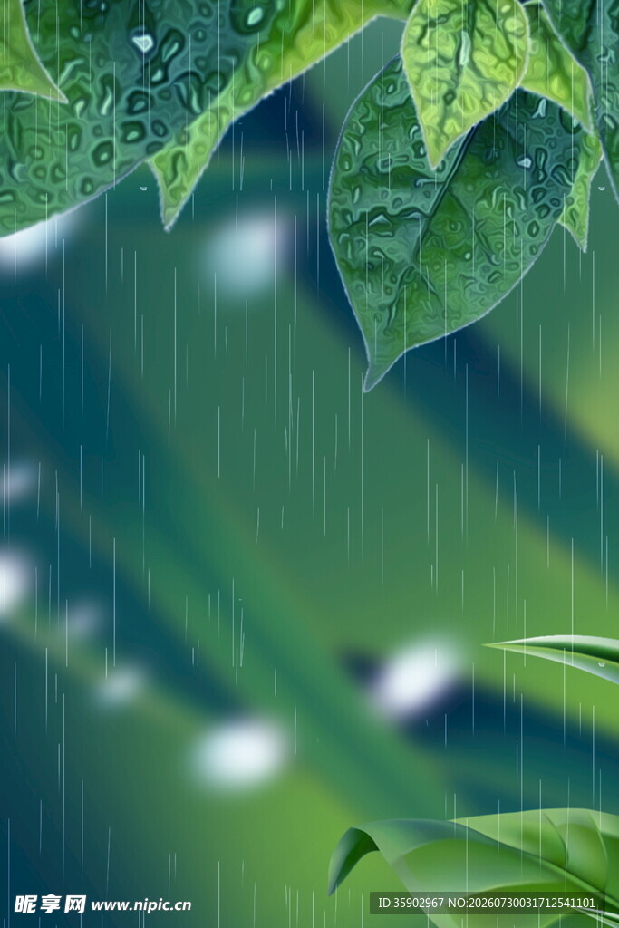 雨中翠绿叶片的清新景致