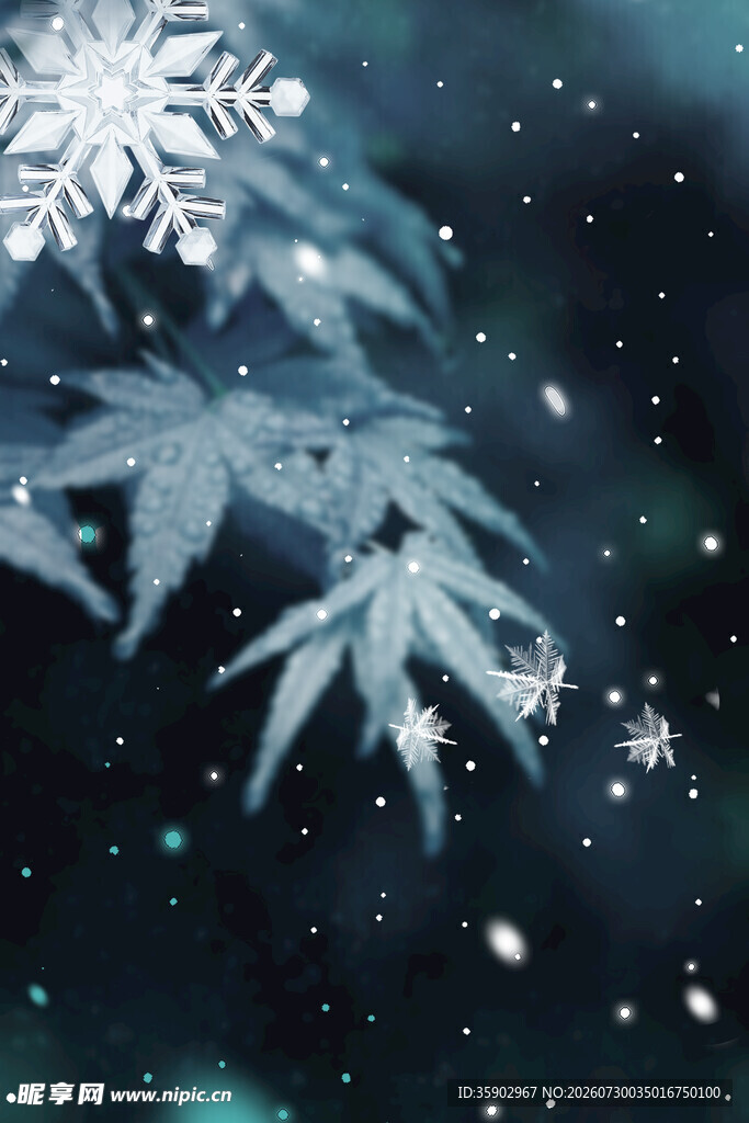 雪花飘落覆盖的翠绿枝叶