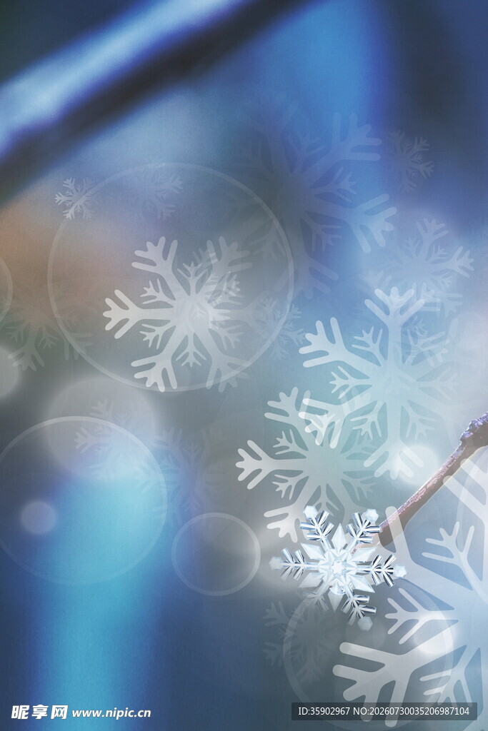 梦幻雪花特写