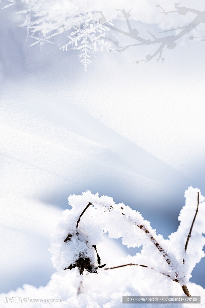 雪覆树枝的冬日美景
