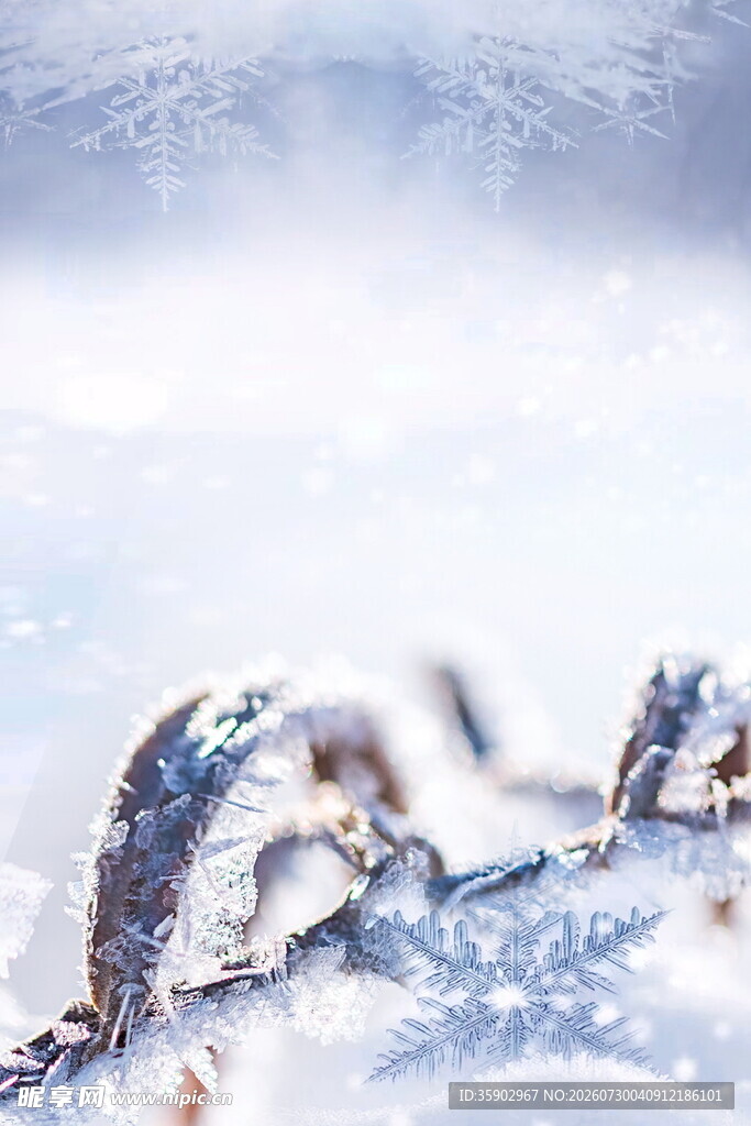 冰雪覆盖的金属链条