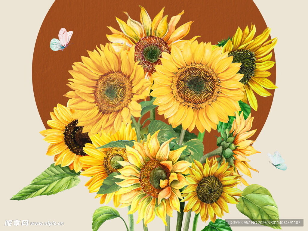 向日葵插画绽放的灿烂生机