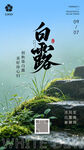 白露时节