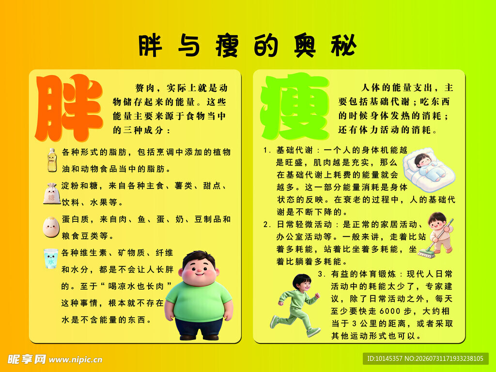 胖与瘦的奥秘对比