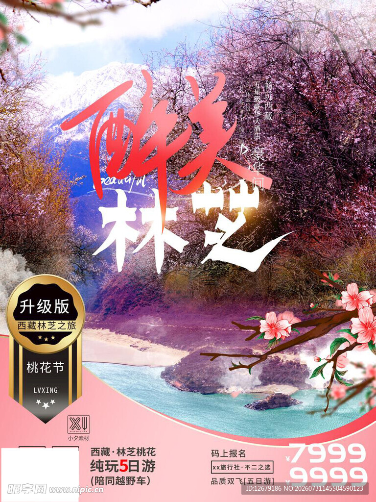 醉美林芝海报