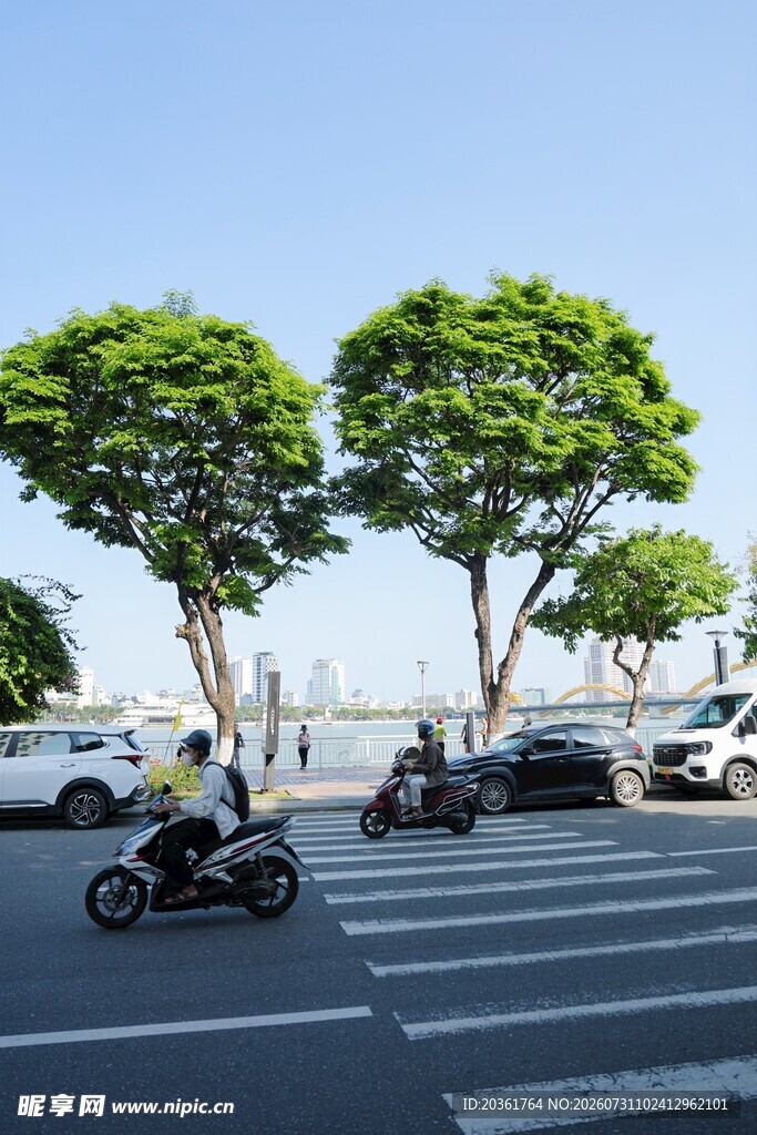 城市街道绿树旁的骑行场景