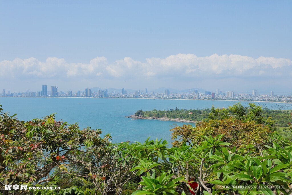 海滨绿植环绕的城市远景