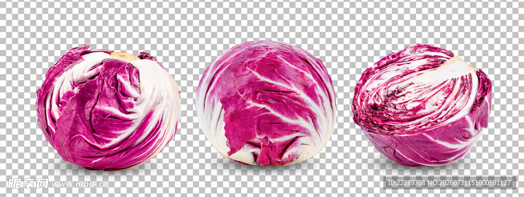 紫色白菜