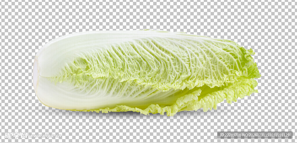 白菜