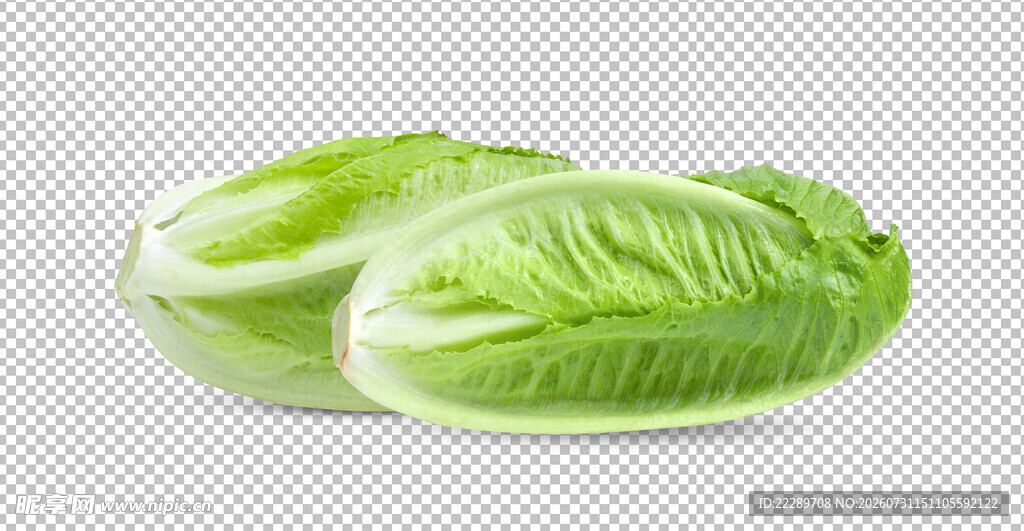白菜