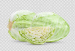 包菜白菜