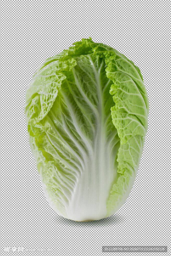 白菜