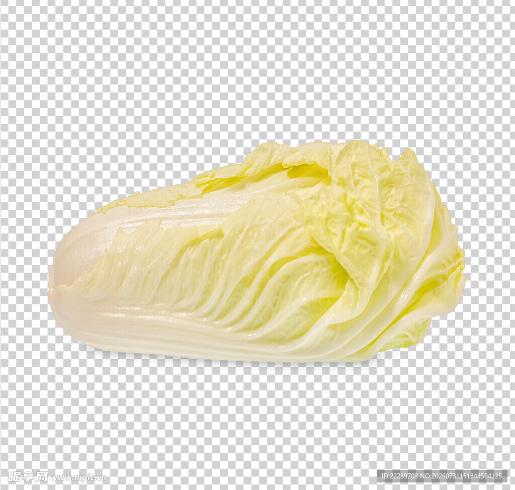 白菜蔬菜
