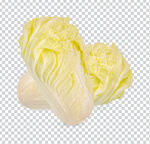 白菜蔬菜