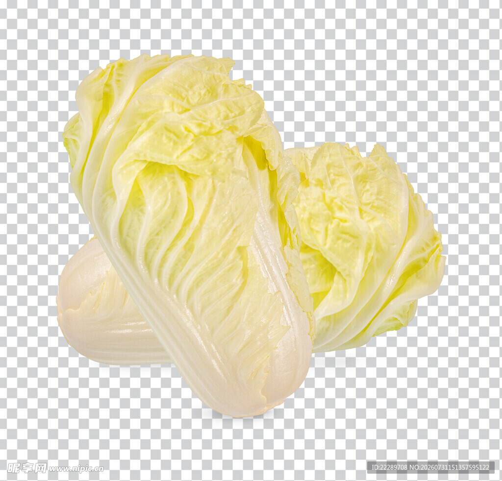 白菜蔬菜