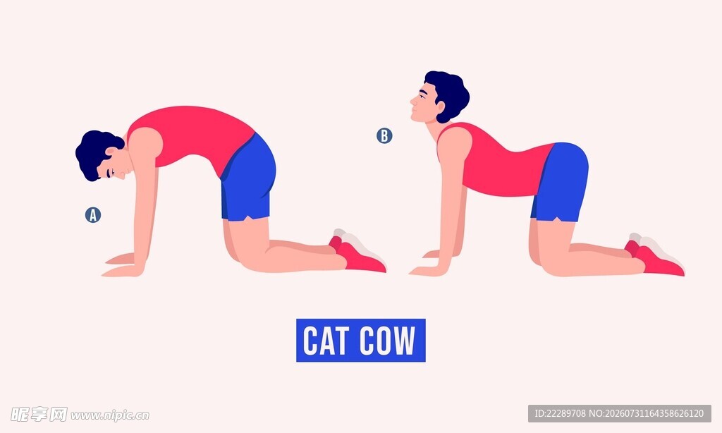猫式瑜伽动作示范