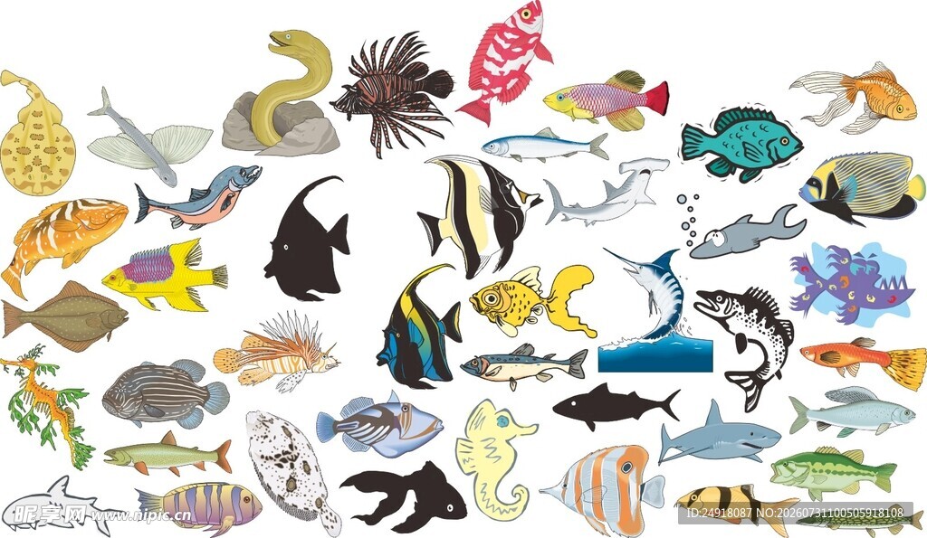 矢量多样海洋鱼类插画集合