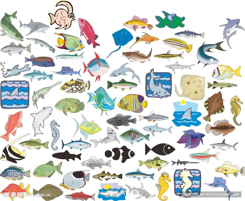 矢量海洋鱼类插画生物图标集合