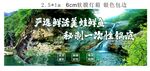 美蛙风景图