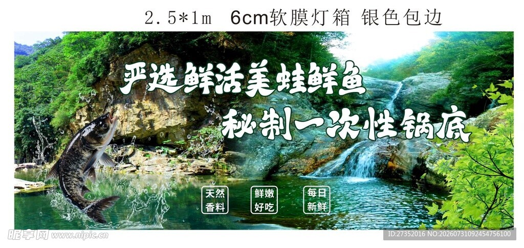 美蛙风景图