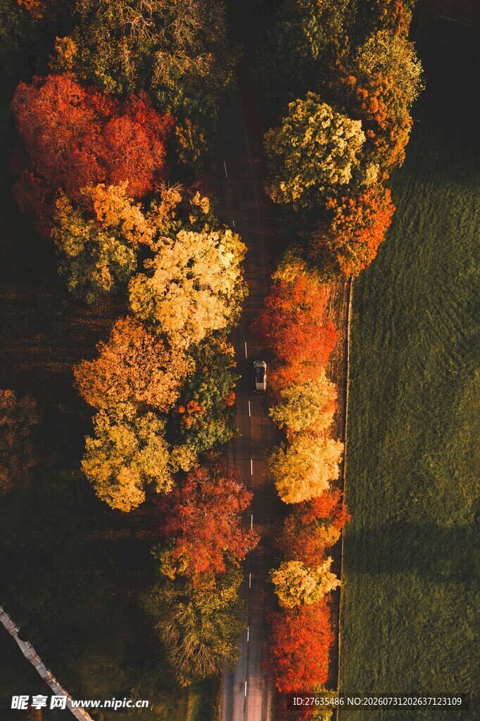秋日林间公路俯瞰美景
