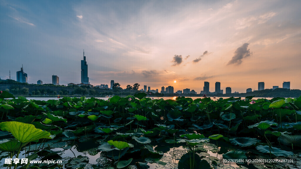 城市湿地日落美景