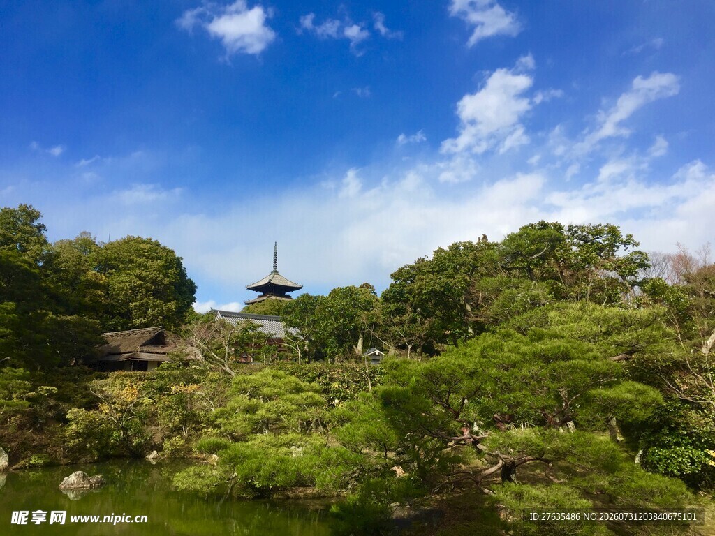园林美景绿意盎然的景致