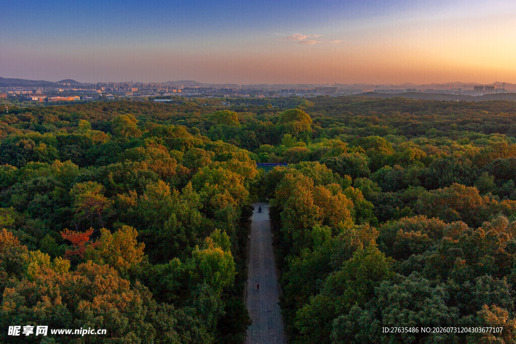 林间公路迎日出美景