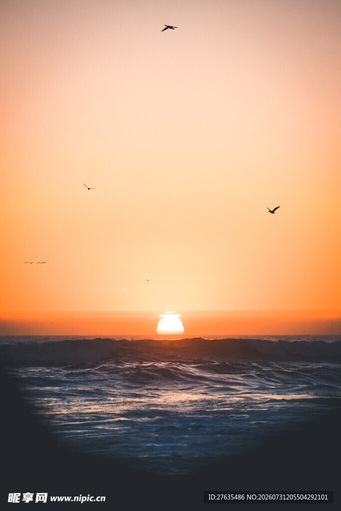 海上日落飞鸟美景